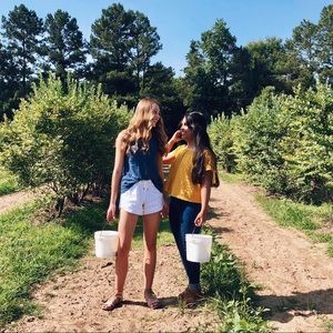 Meet your Posher, Destiny